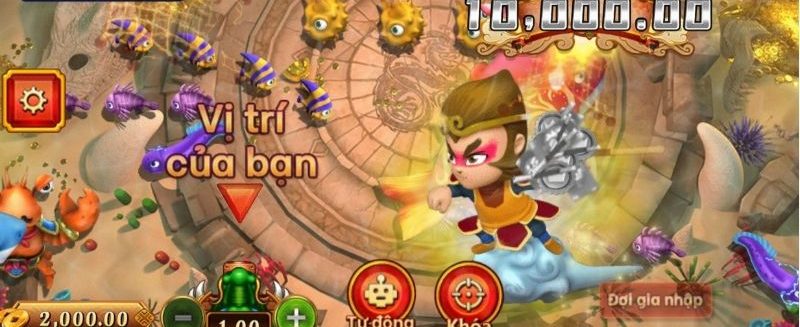 Áp dụng kinh nghiệm thắng lớn từ chuyên gia săn cá